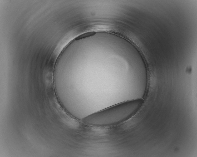 X0000110681473200907021858