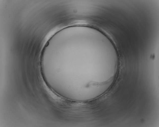 X0000110681475200907021858