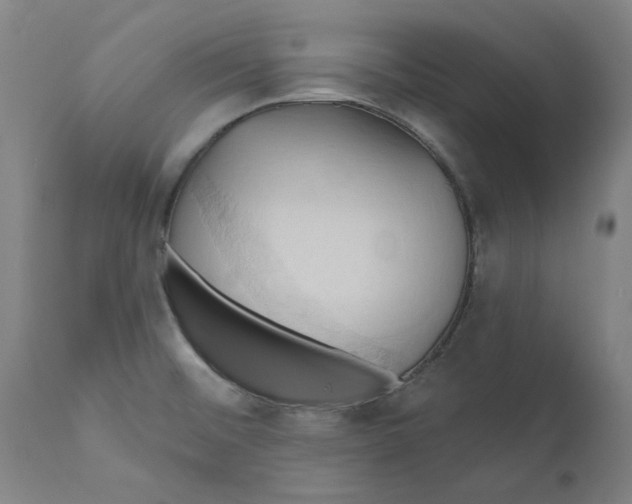 X0000110681476200907021858