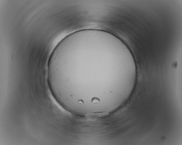 X0000110681479200907021858