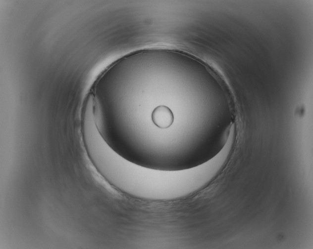 X0000110681480200907021858