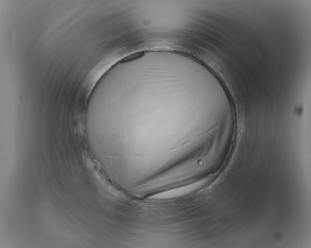 X0000110681481200907021858