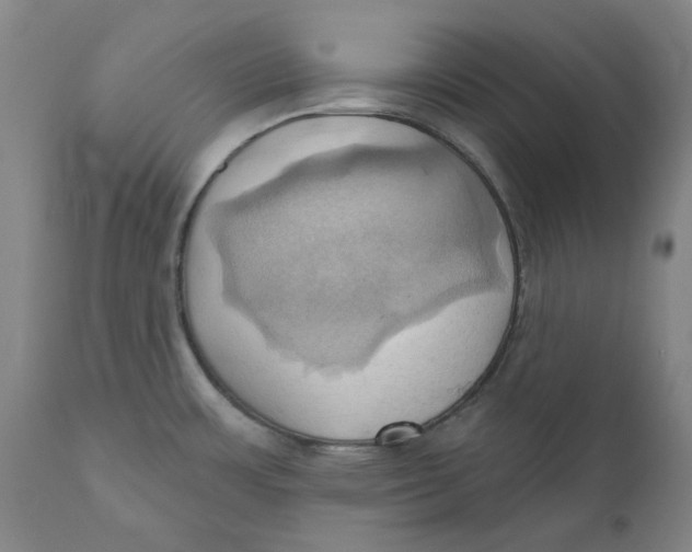 X0000110681483200907021858