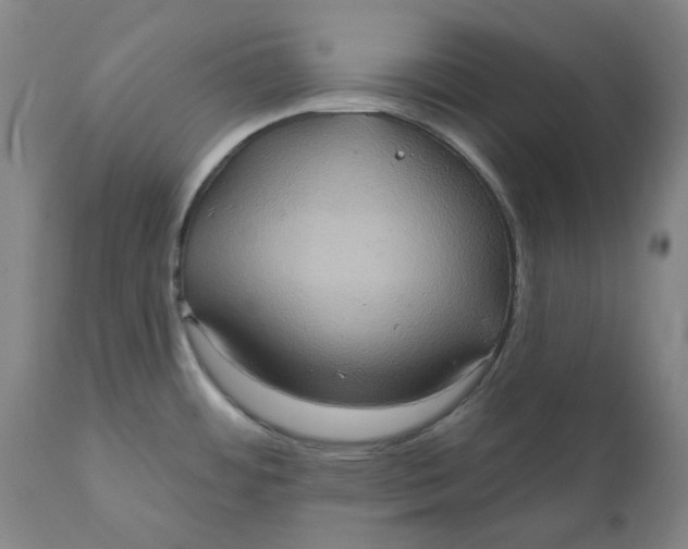 X0000110681484200907021858