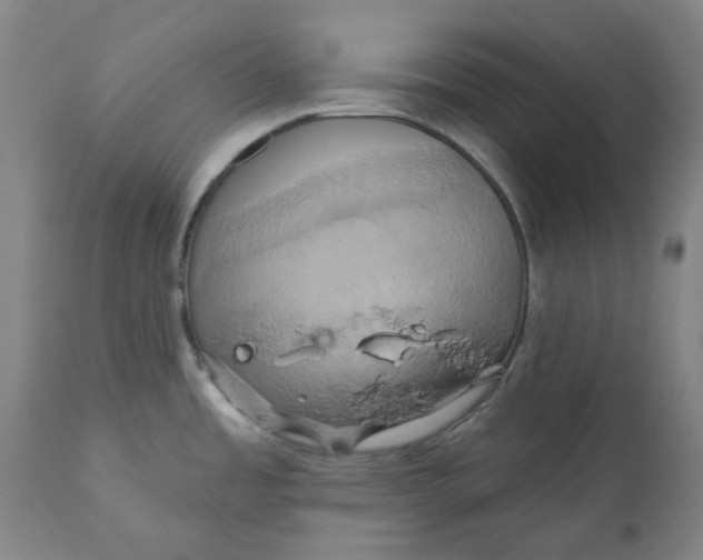 X0000110681485200907021858