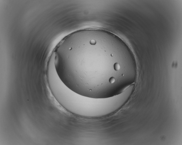 X0000110681488200907021858