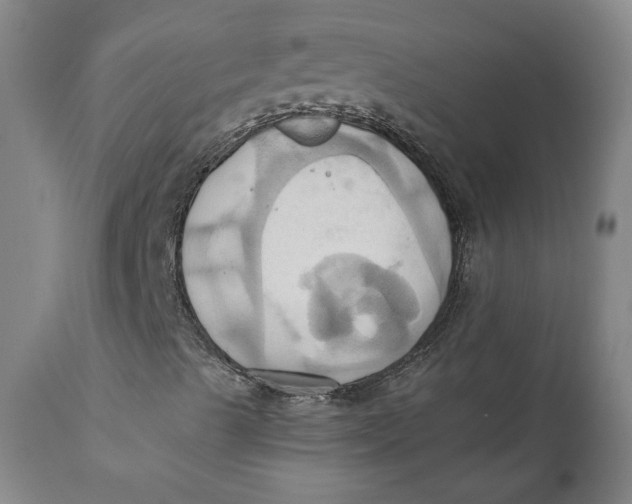 X0000110681489200907021857