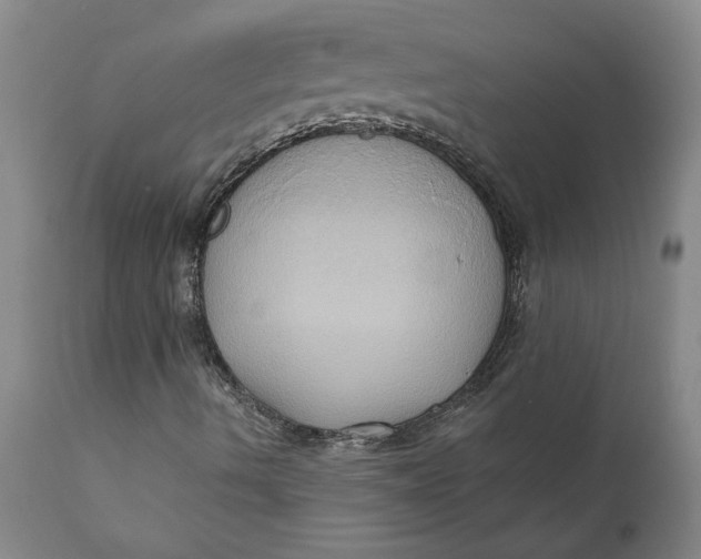 X0000110681490200907021857