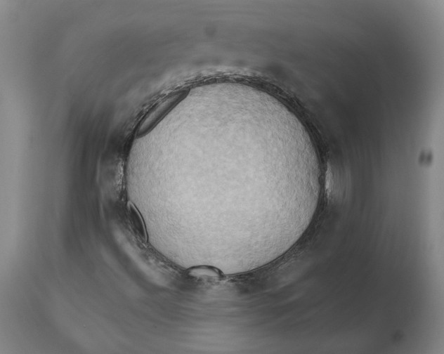 X0000110681492200907021857