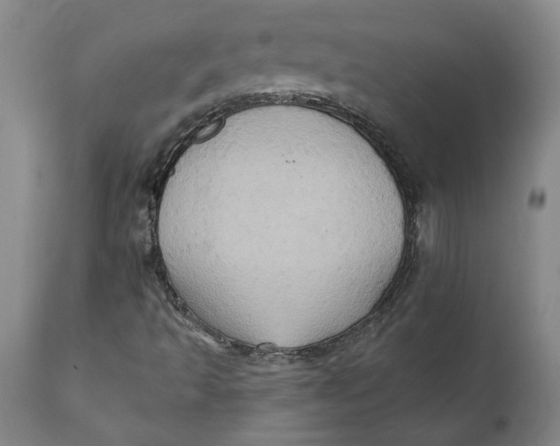 X0000110681493200907021857