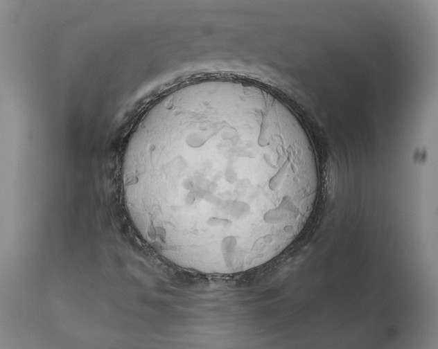 X0000110681494200907021857