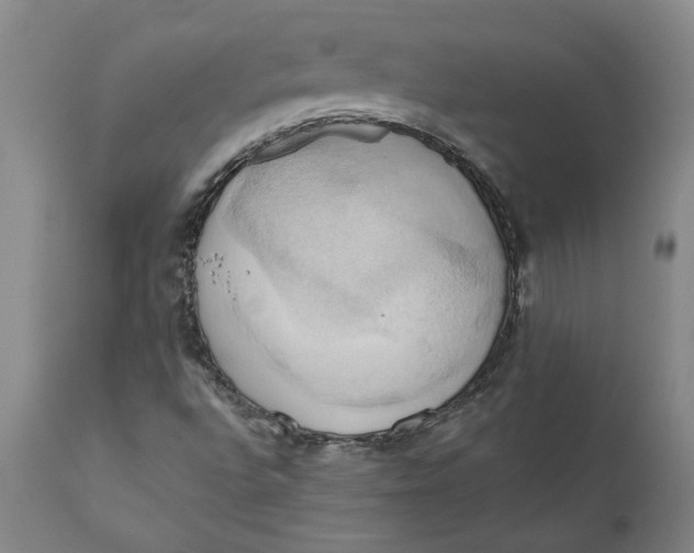 X0000110681496200907021857