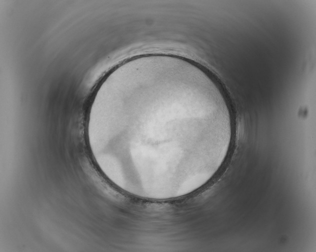 X0000110681498200907021857