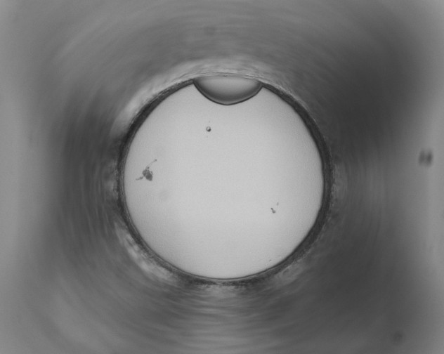 X0000110681499200907021857