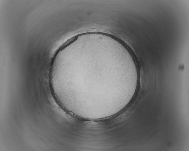 X0000110681500200907021857