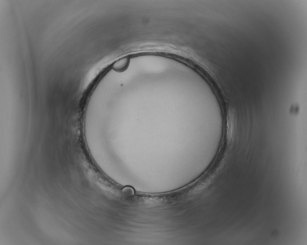 X0000110681501200907021857