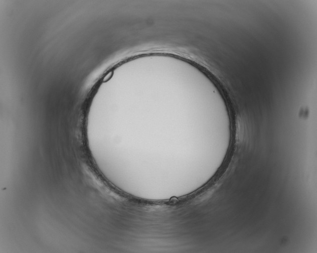 X0000110681502200907021857