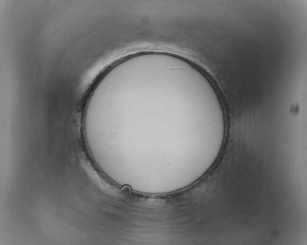 X0000110681503200907021857