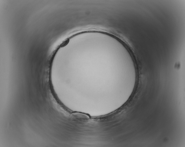 X0000110681504200907021857