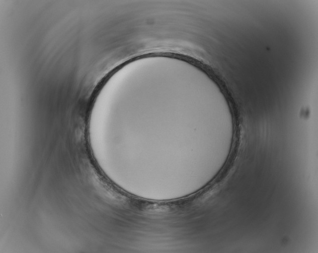 X0000110681505200907021857