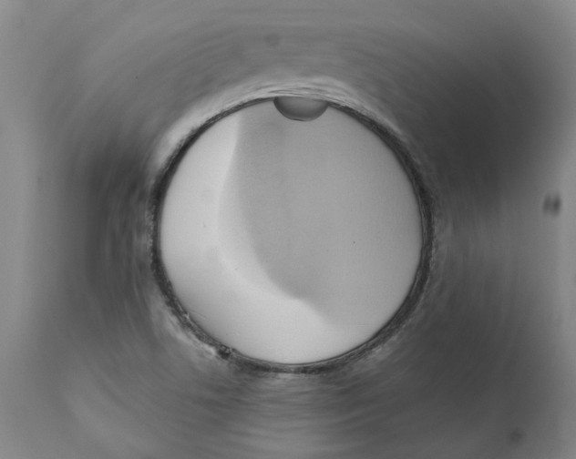 X0000110681506200907021857