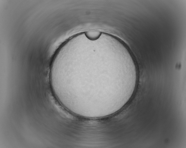 X0000110681507200907021857