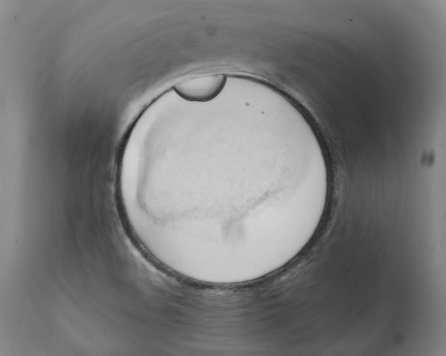 X0000110681508200907021857