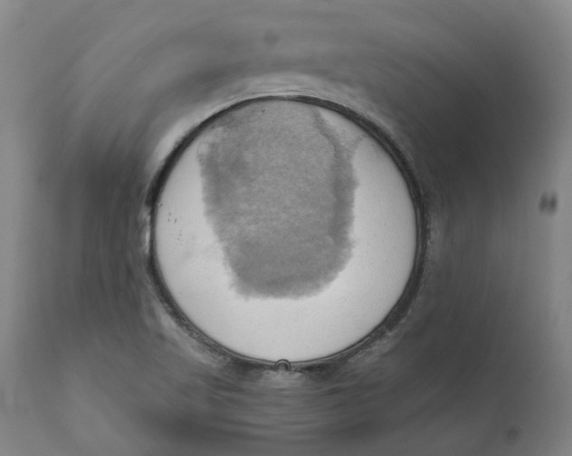 X0000110681509200907021857