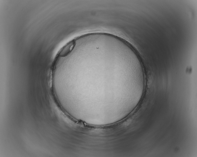 X0000110681510200907021857