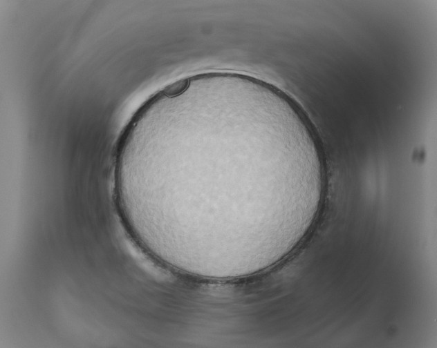 X0000110681511200907021857