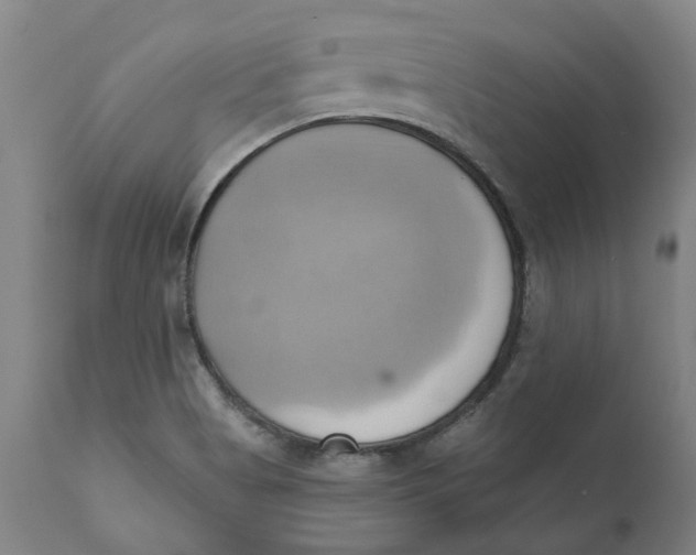 X0000110681513200907021857