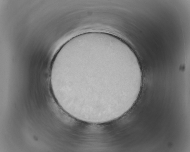 X0000110681514200907021857