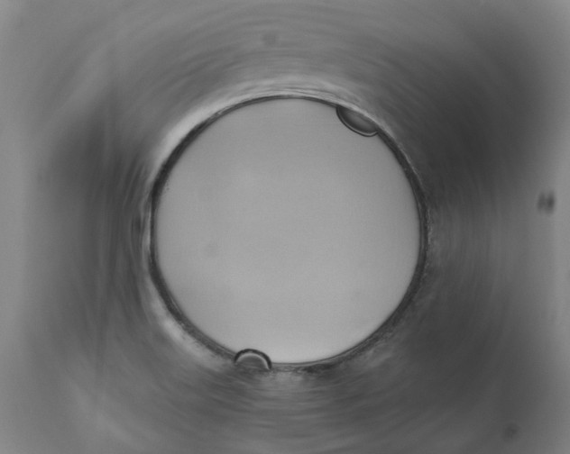 X0000110681515200907021857