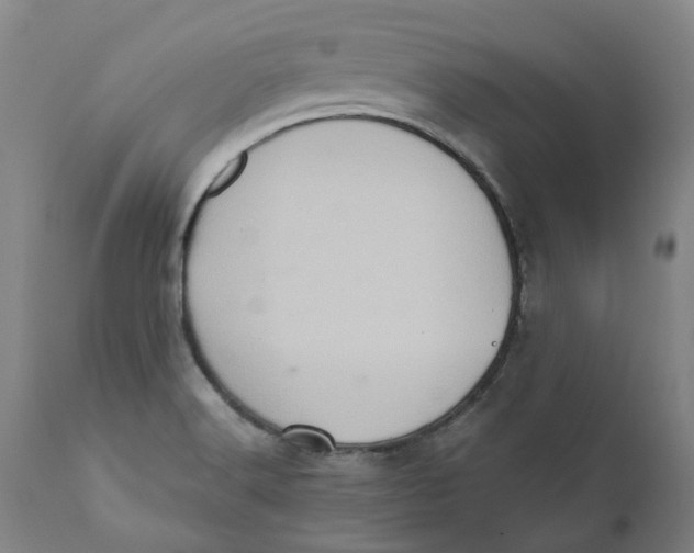 X0000110681516200907021857