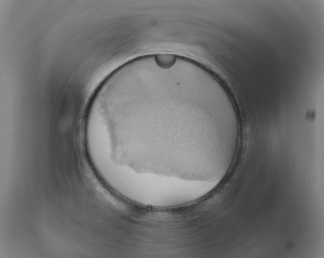 X0000110681517200907021857