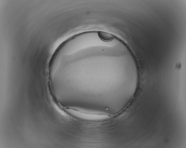 X0000110681519200907021858