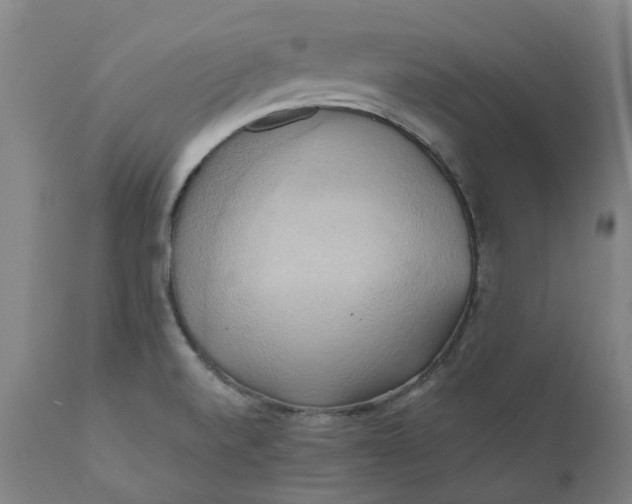 X0000110681520200907021858