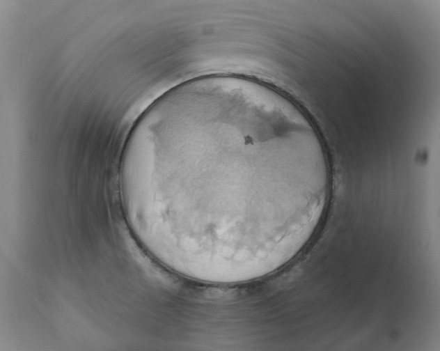 X0000110681521200907021858