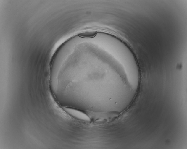 X0000110681522200907021858