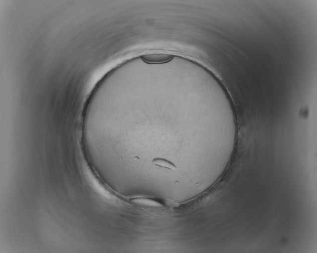 X0000110681523200907021858