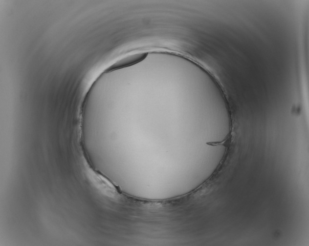 X0000110681524200907021858