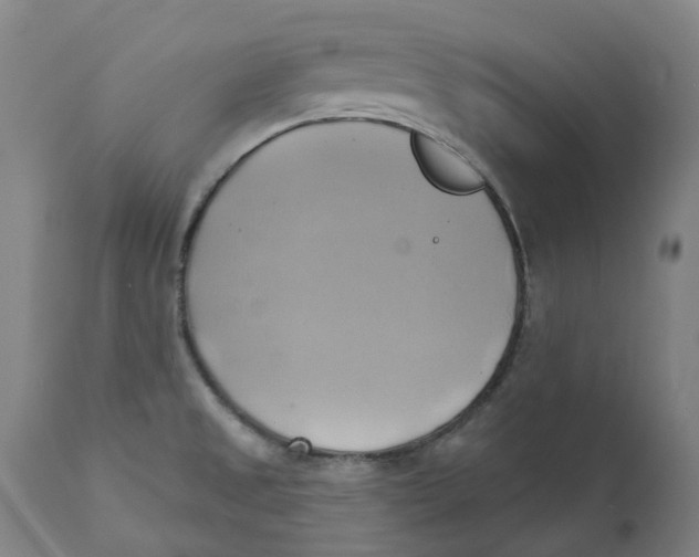 X0000110681525200907021858