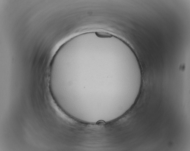 X0000110681526200907021858