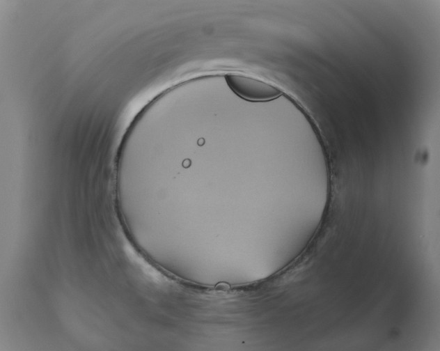 X0000110681527200907021858