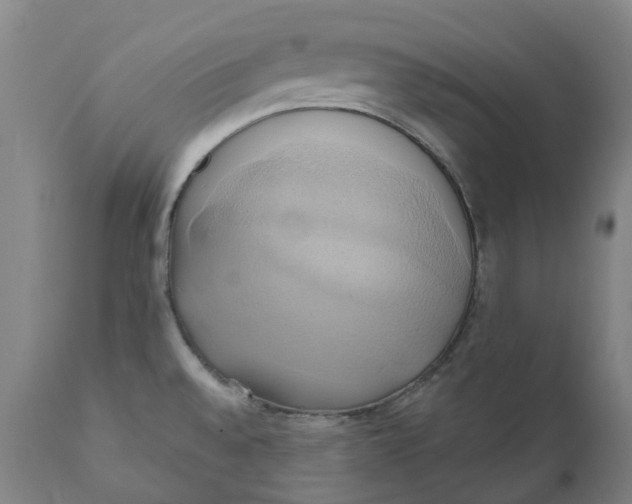 X0000110681528200907021858