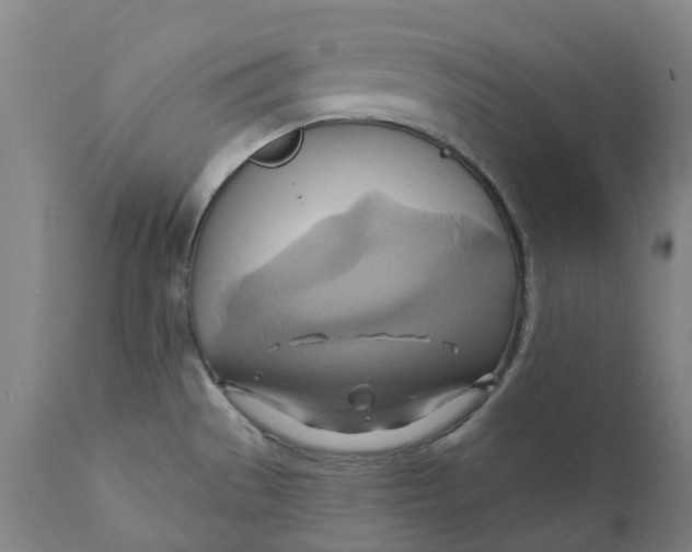 X0000110681529200907021858