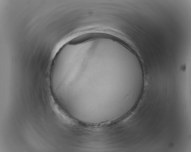 X0000110681530200907021858