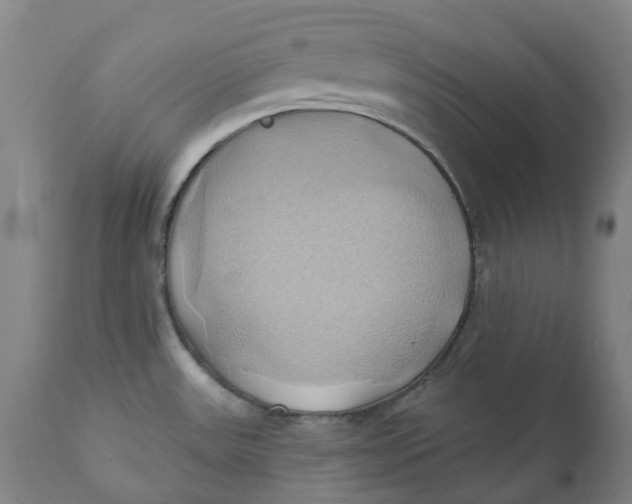 X0000110681531200907021858