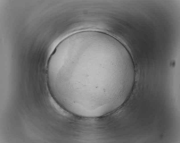 X0000110681532200907021858