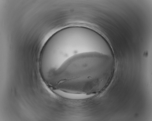 X0000110681533200907021858